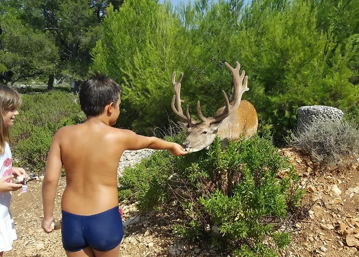 Anka Bunic Panzió 3*